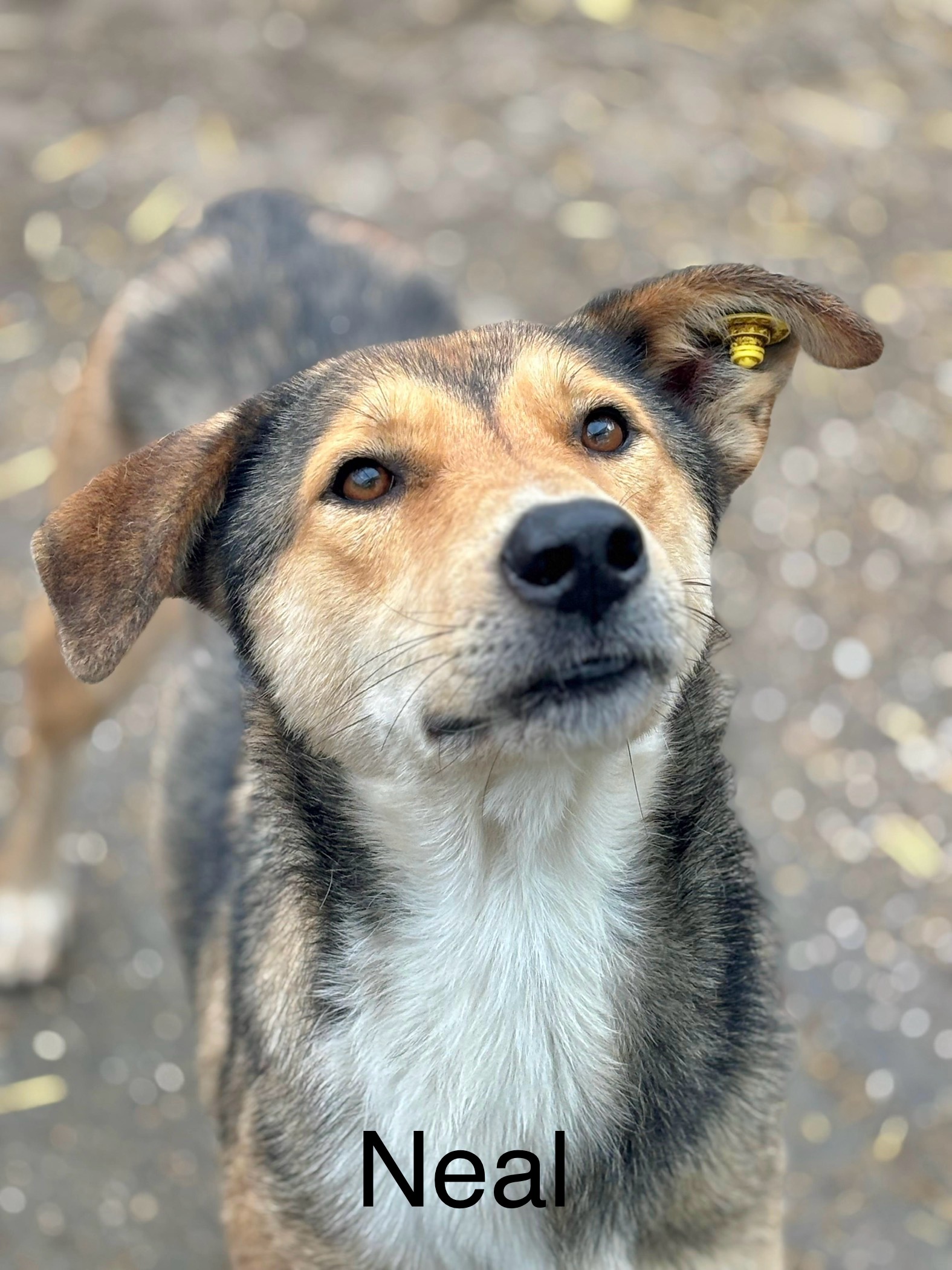 4618696c eea9 4ab5 ad8c b07afe3608e8