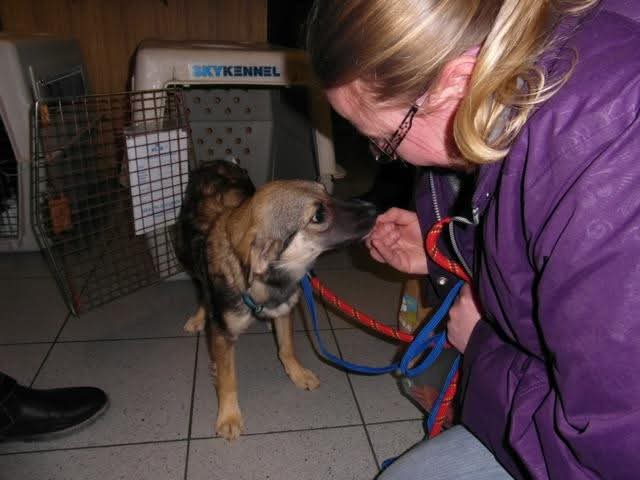 WhatsApp Image 2025 06 25 at 07.35.31 1