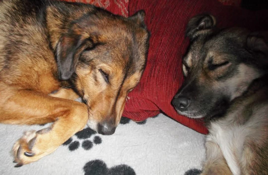 WhatsApp Image 2025 06 25 at 07.35.31 2