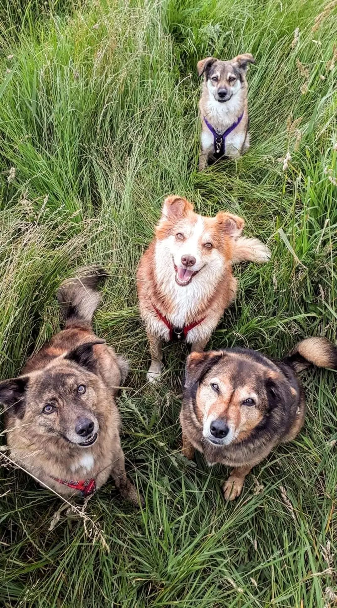 WhatsApp Image 2025 06 25 at 07.35.31 5