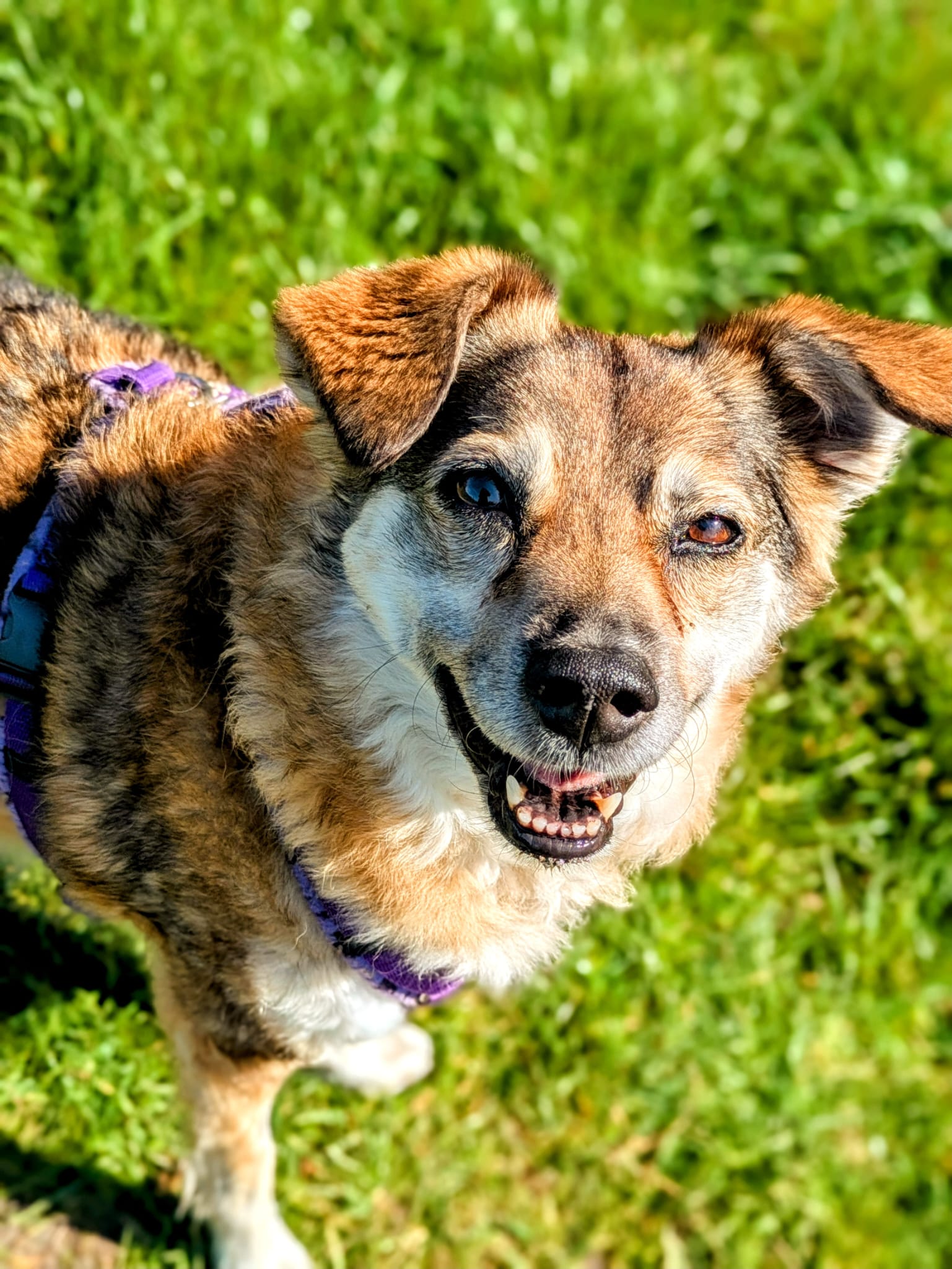 WhatsApp Image 2025 06 25 at 07.35.31 8