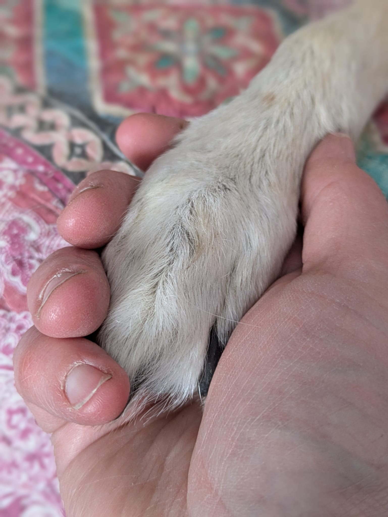 WhatsApp Image 2025 06 25 at 07.35.32 1