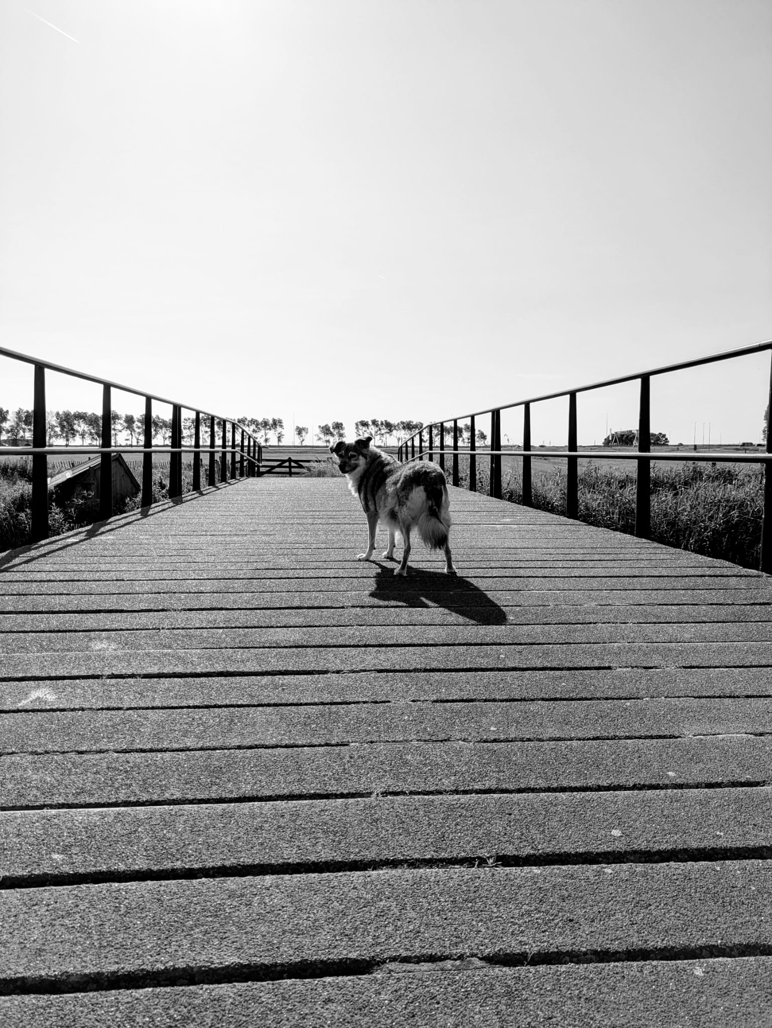 WhatsApp Image 2025 06 25 at 07.35.32 3