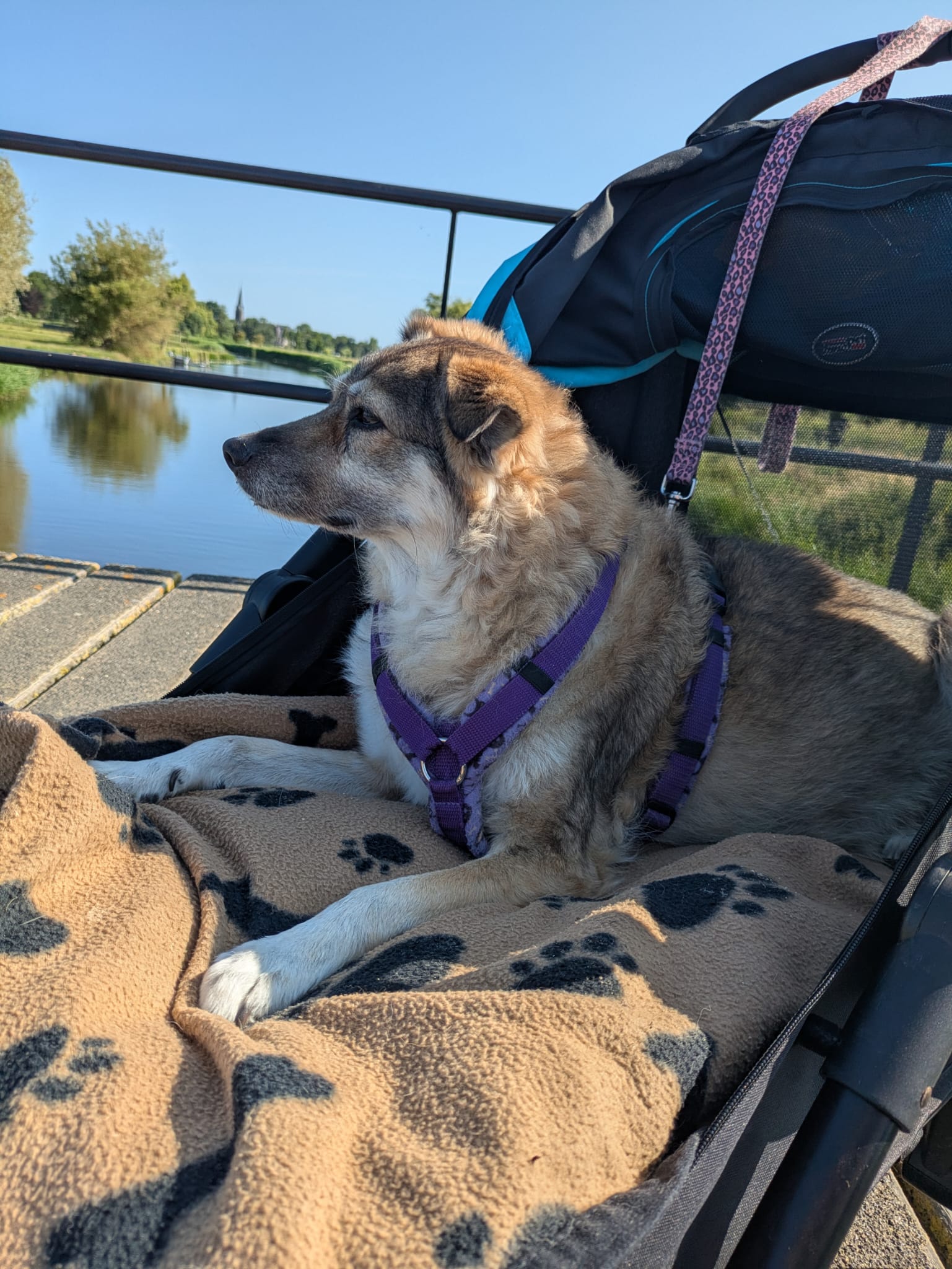 WhatsApp Image 2025 06 25 at 07.35.32 4