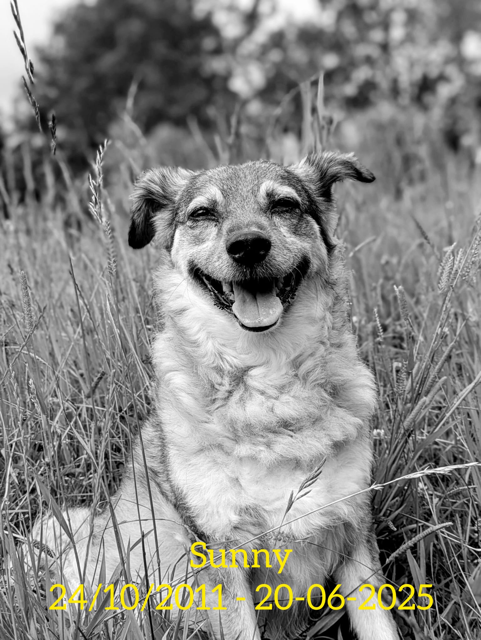 WhatsApp Image 2025 06 25 at 07.35.32 5