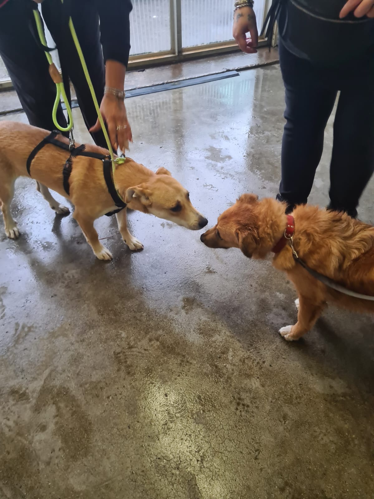 2adc135a 648e 46b6 9c8f 6a1acb548e7c