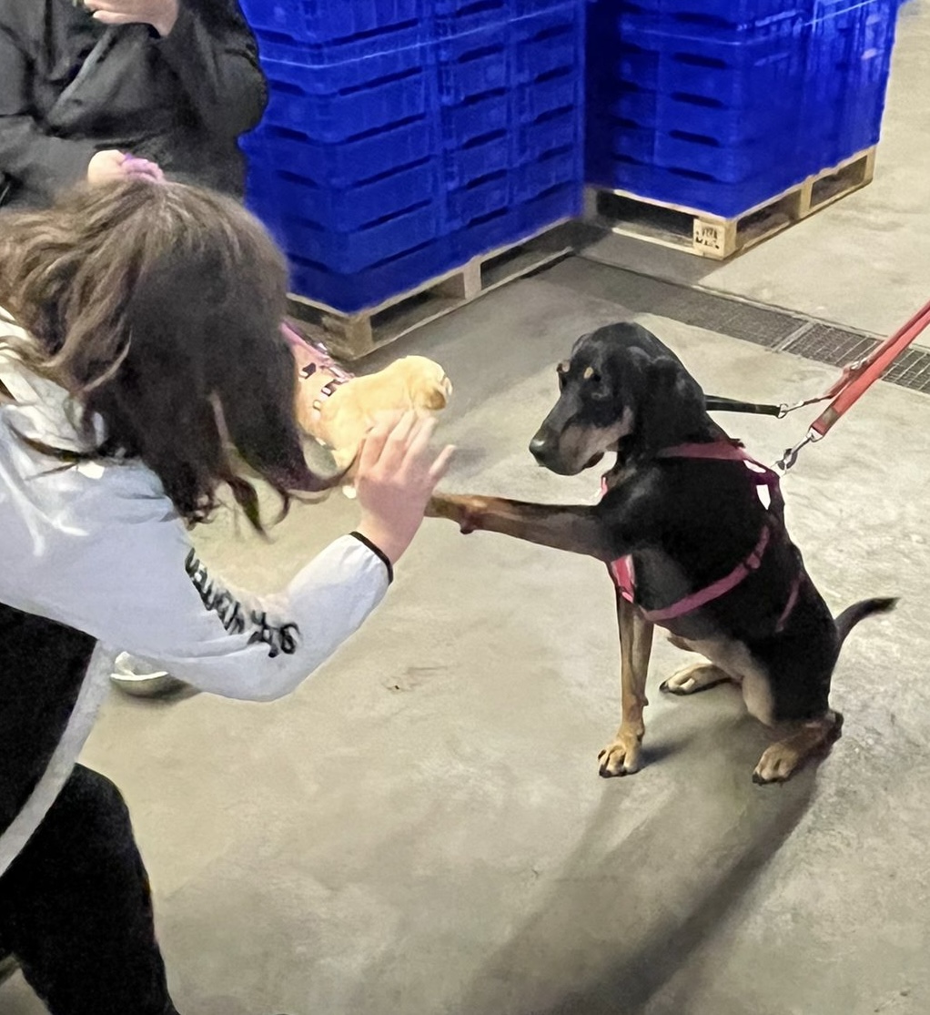 5bcff76d 97d3 47cb 9015 9b7c98344113