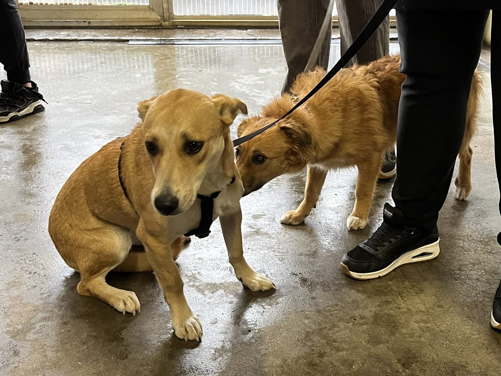 6134b40a 25f5 49cf 9ea5 92499af8b8a2