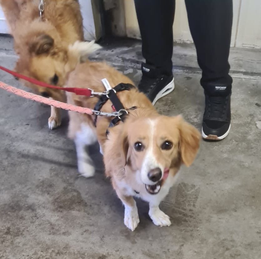 6f8a1b8a ac6d 4bd9 9f3a c7b5e2138dca