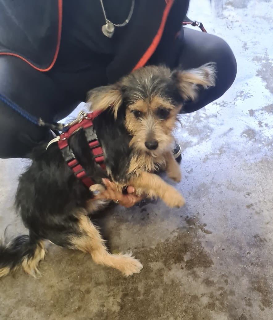 9f297227 67b5 4604 97b2 5273d707722e