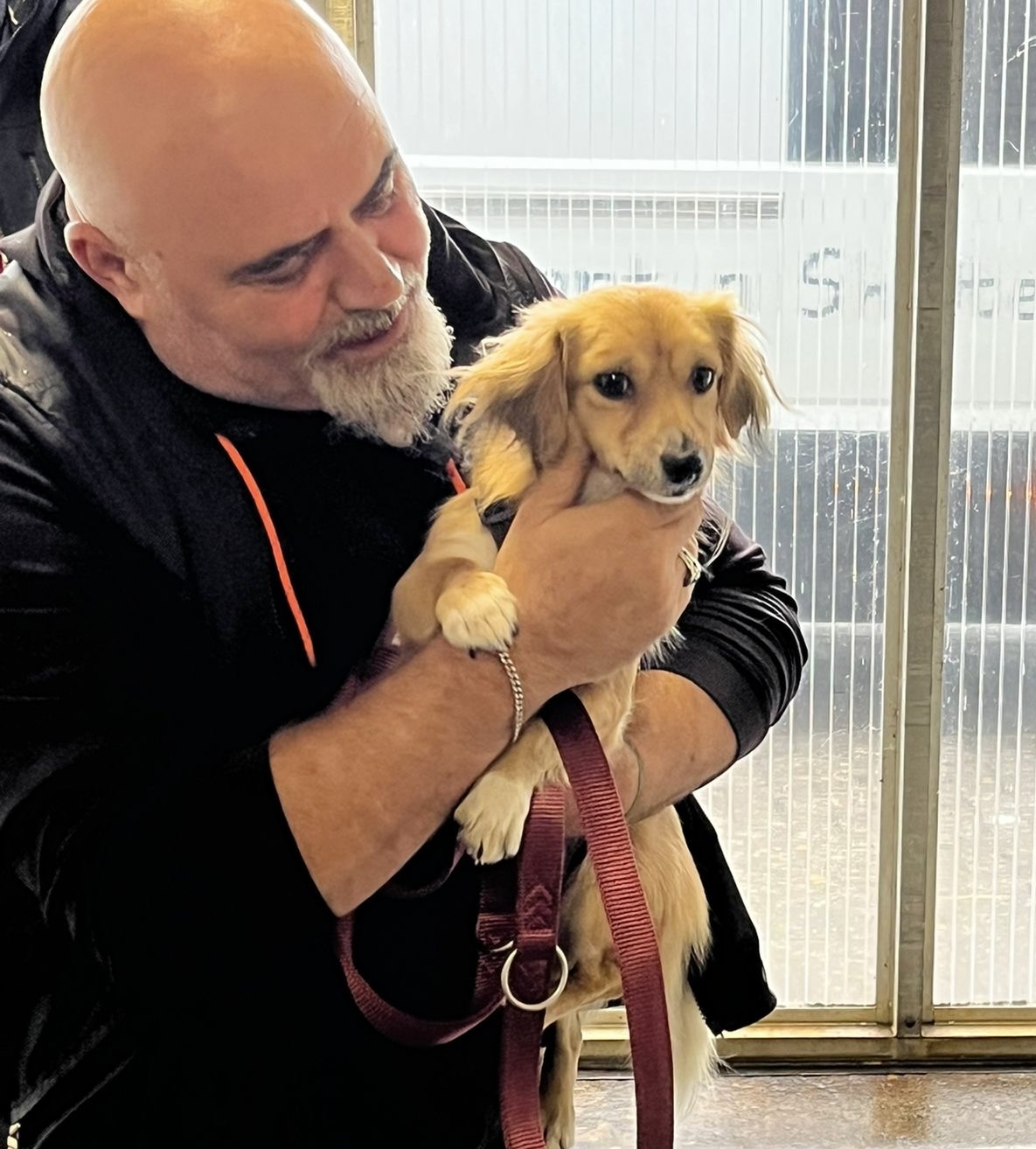 d3f75fda c7b8 4dd0 b85a fc7d0315dfb7