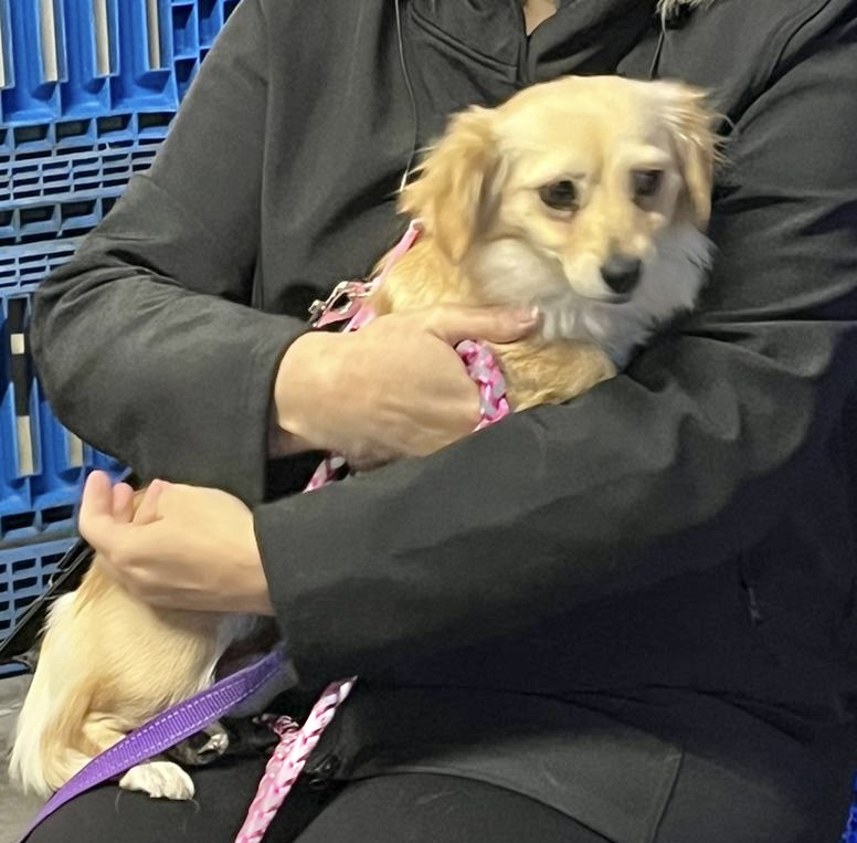 d9a9a30d 6036 4de3 924c 72062d03b8e4