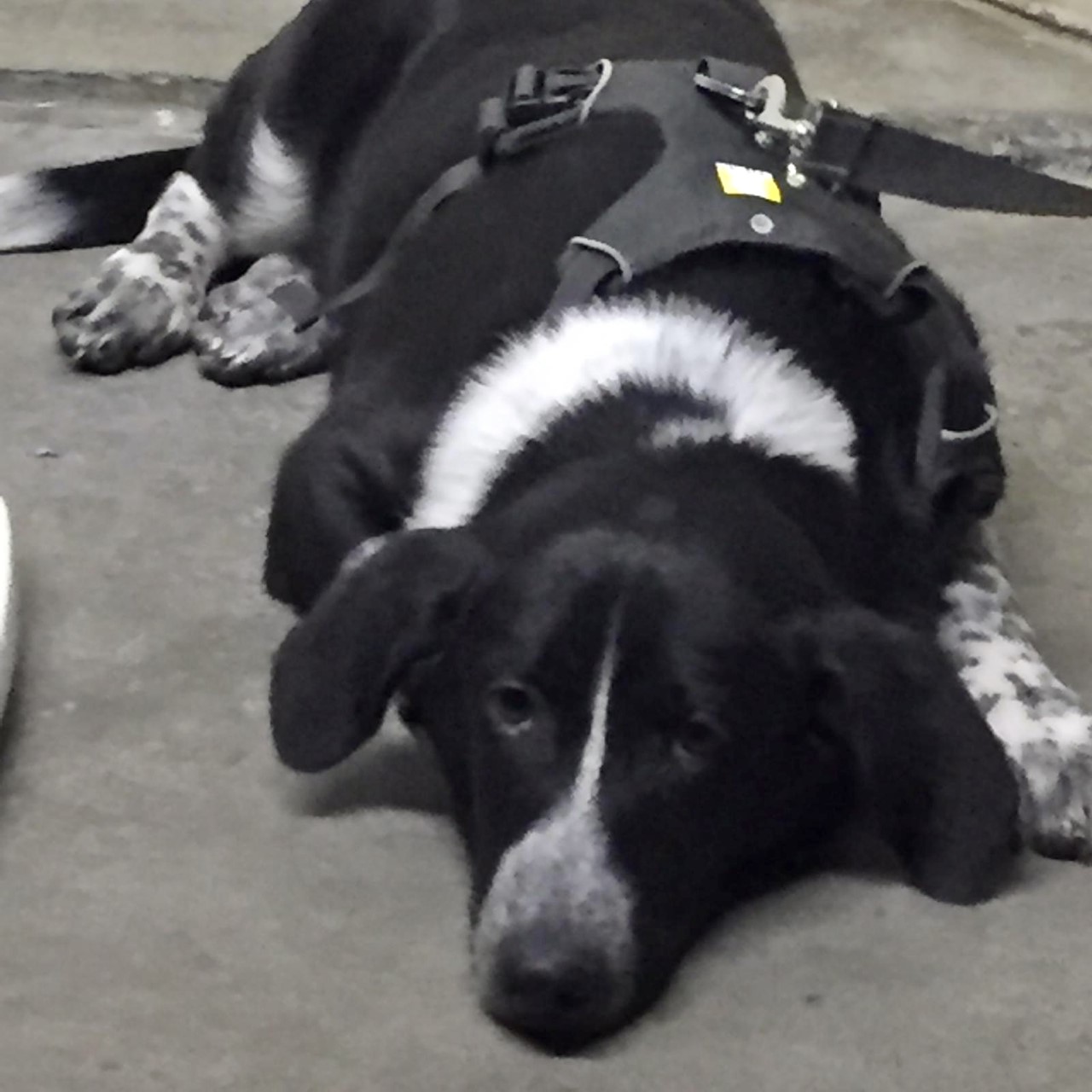 thumbnail 0d9bb2d2 565b 45b5 839e bfd147169911