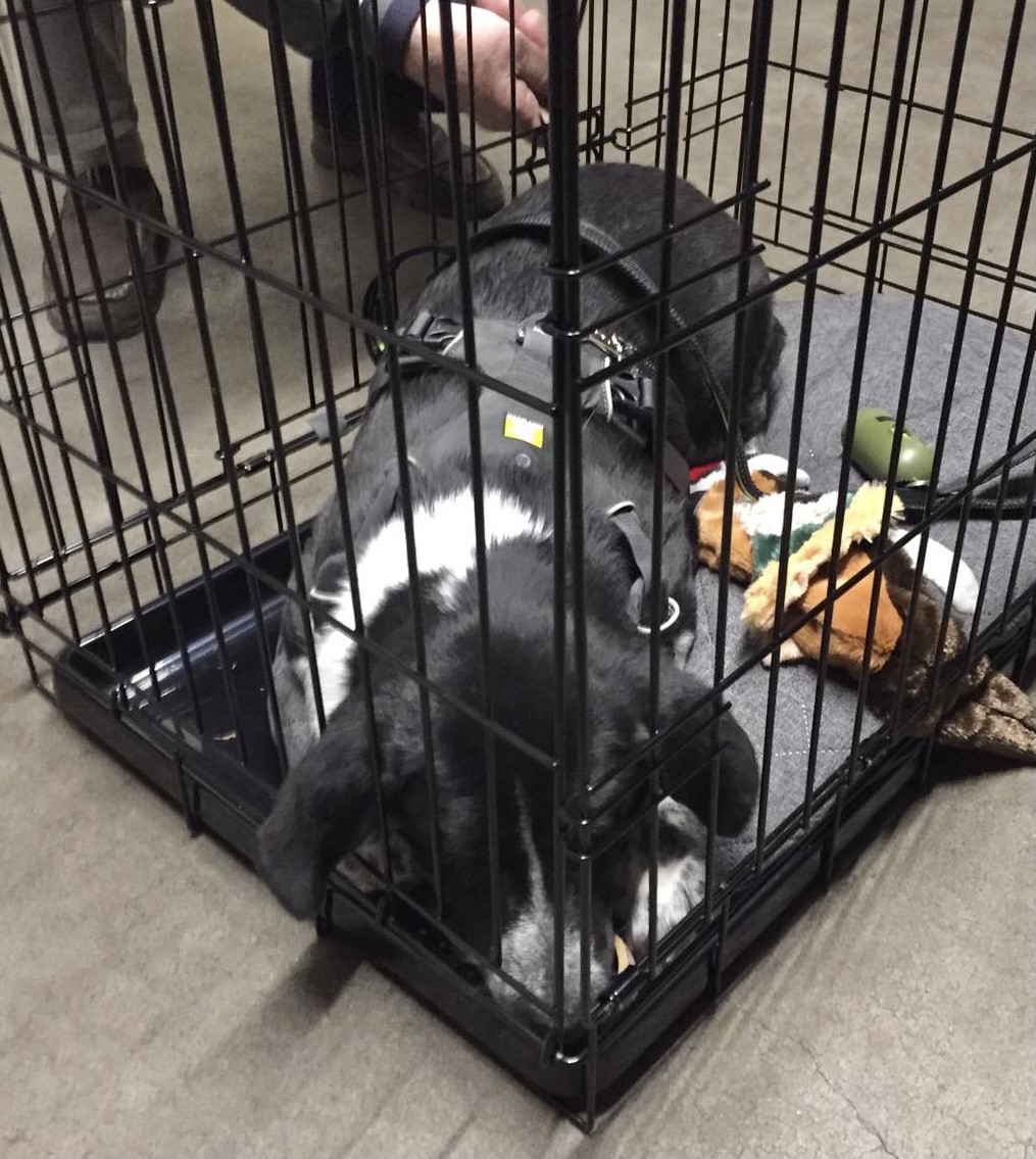 thumbnail 14b89da9 260a 49b3 b1c8 e1fc91ce3e07