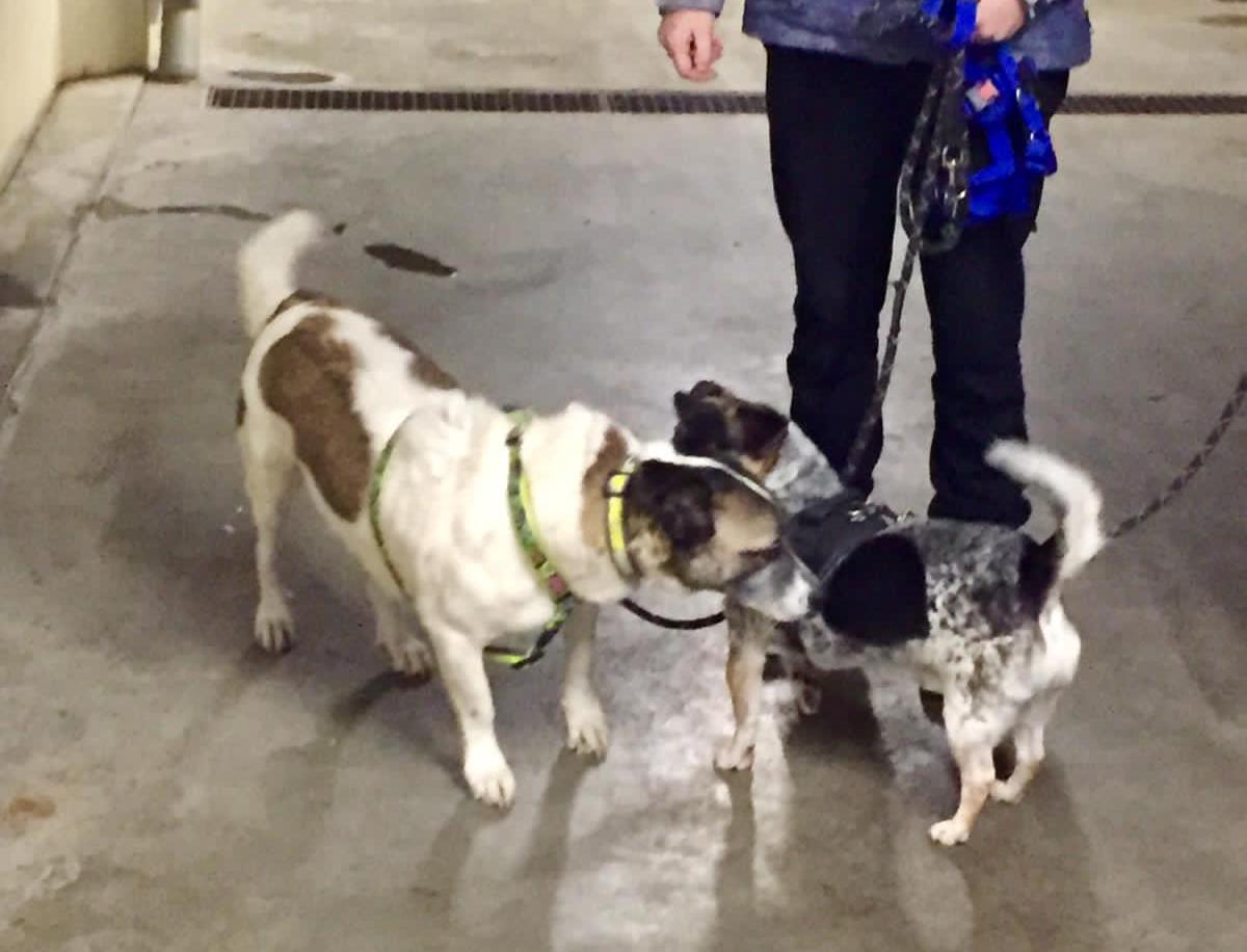 thumbnail db26d897 e248 423a 8ac7 5bbb63550f2d