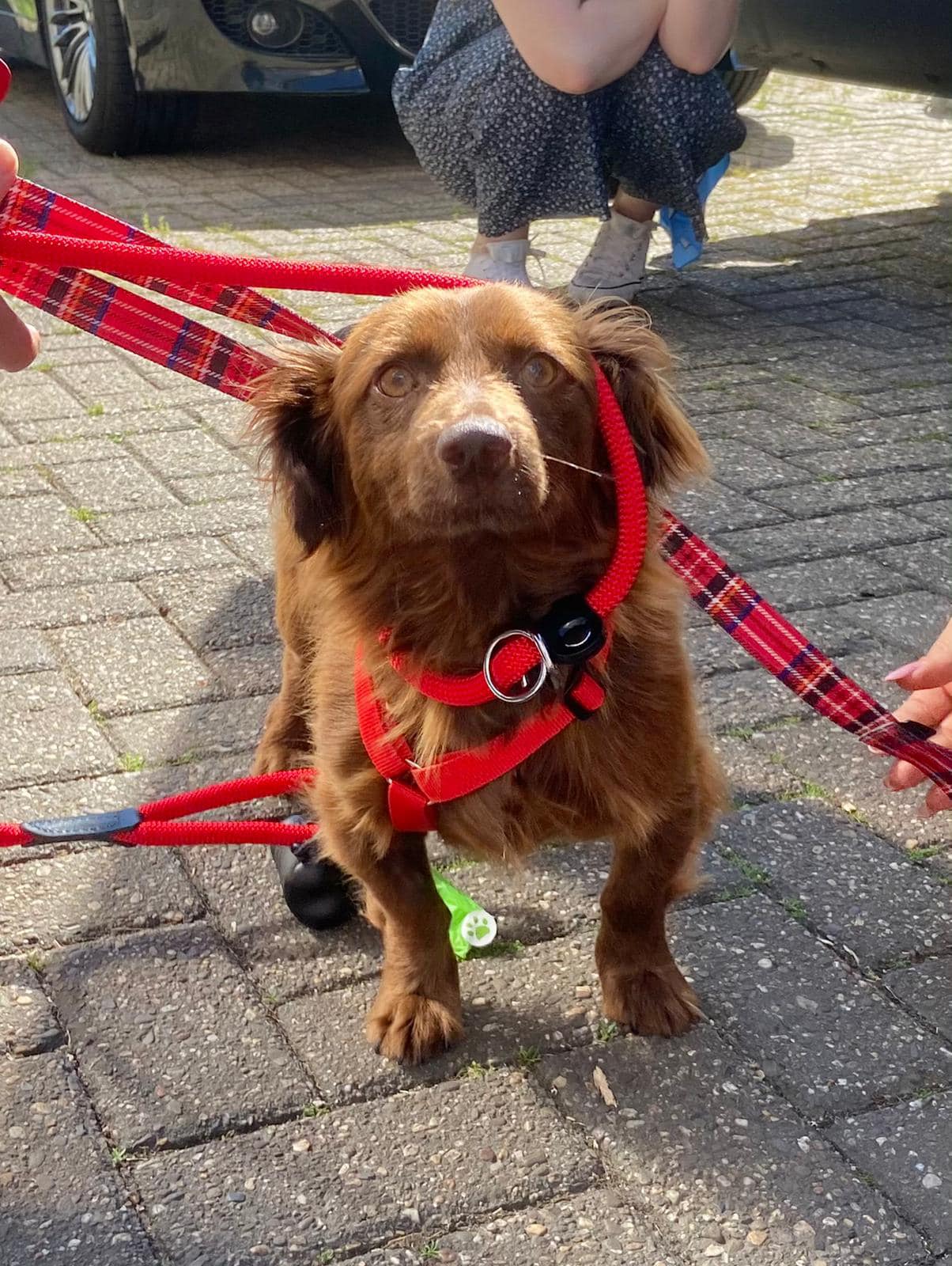 194378660 4630916796936315 5003969036463819969 n