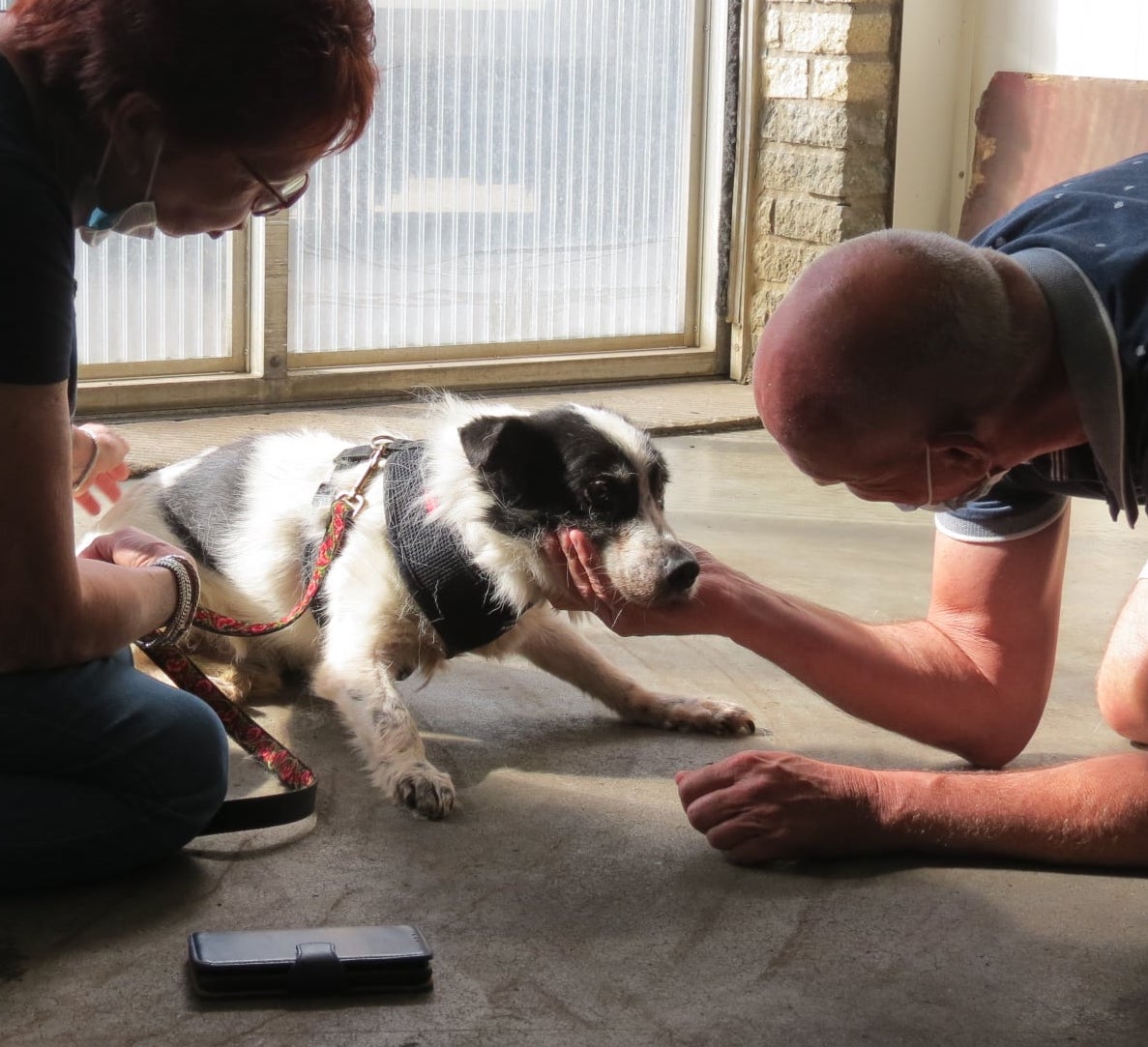 196066539 4630751426952852 5941803807777918119 n