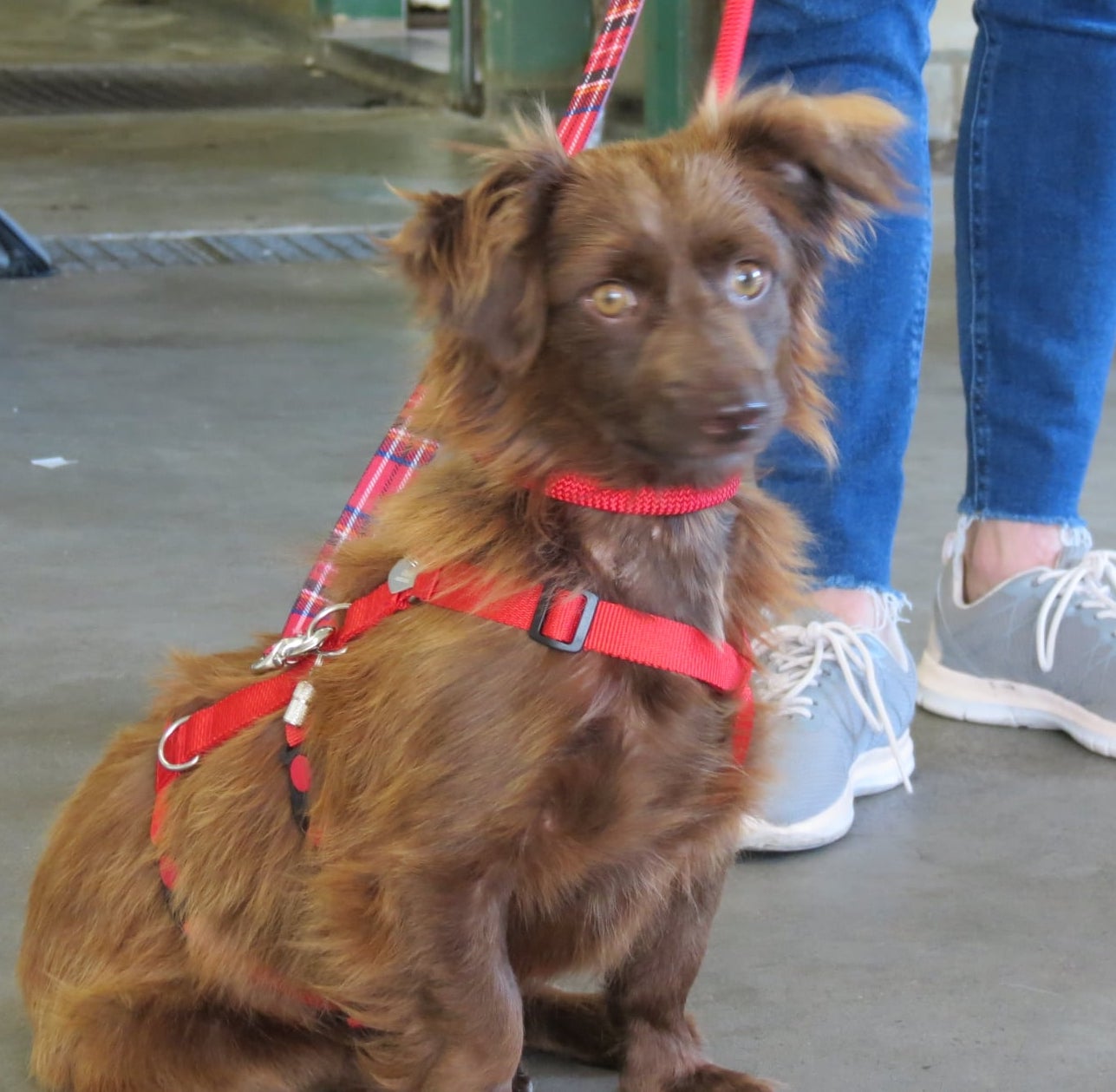 196437344 4630751323619529 5105060504403833063 n