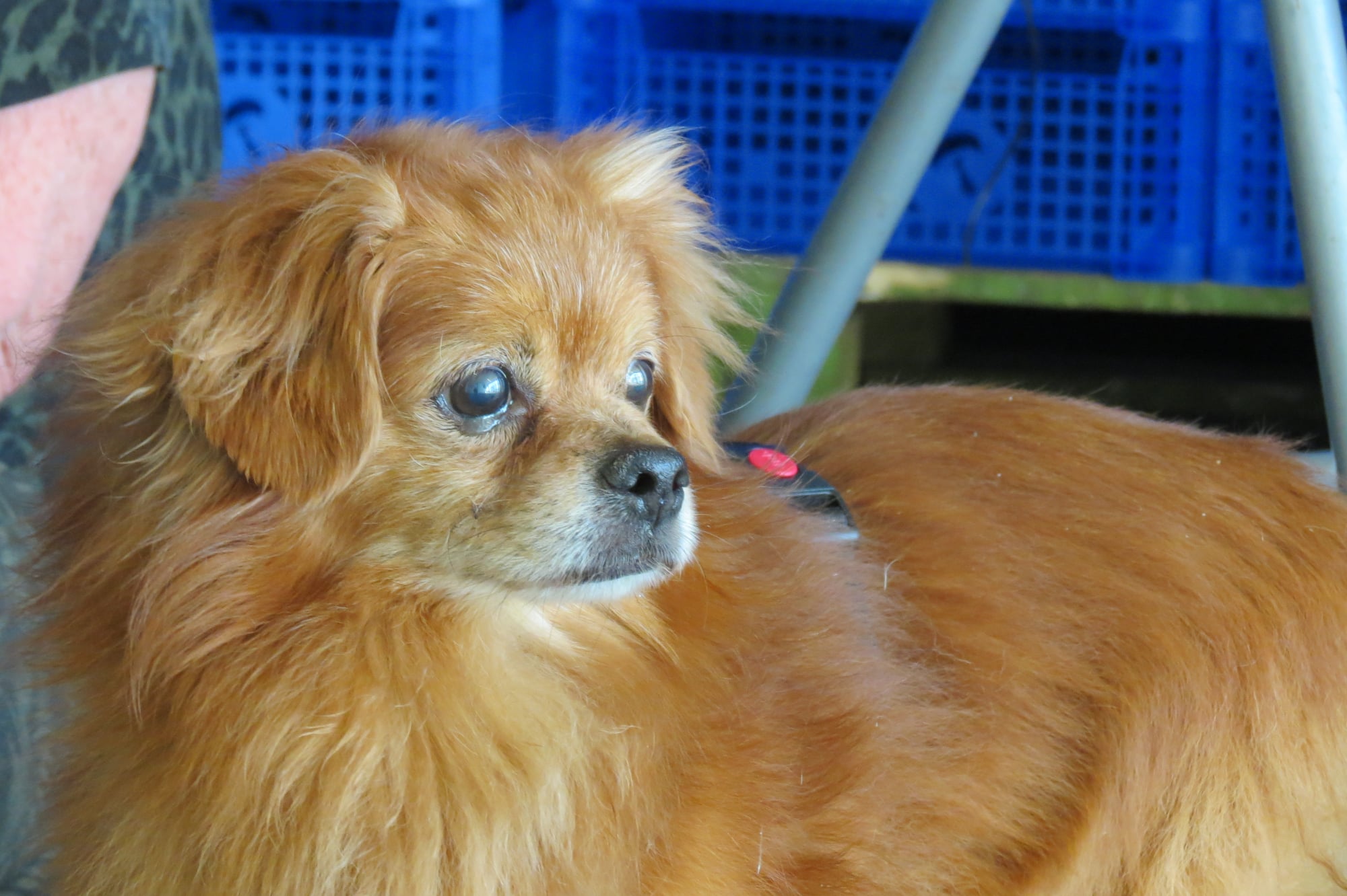 196505521 4630751743619487 3349862761003803547 n