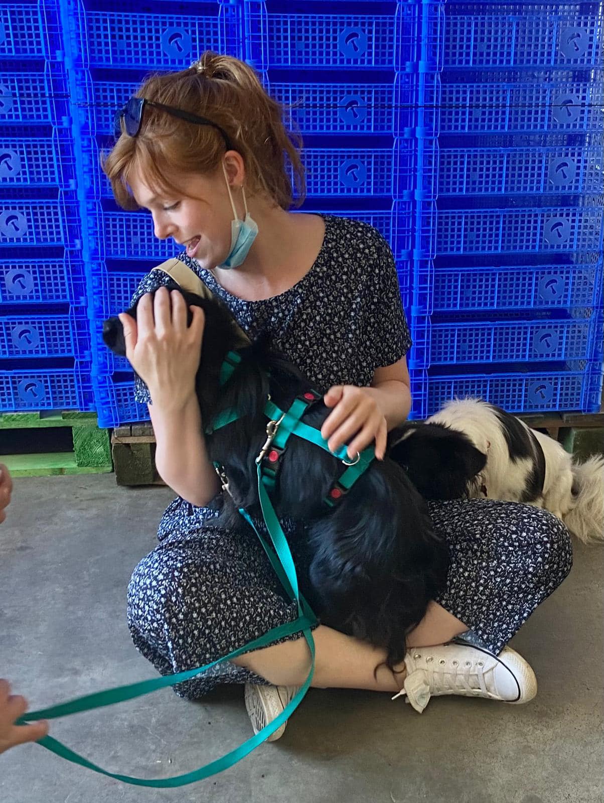 197154083 4630914883603173 5981563889365721524 n