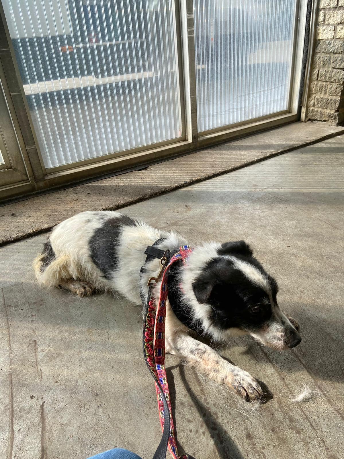 197366175 4630916650269663 4722573323756760843 n