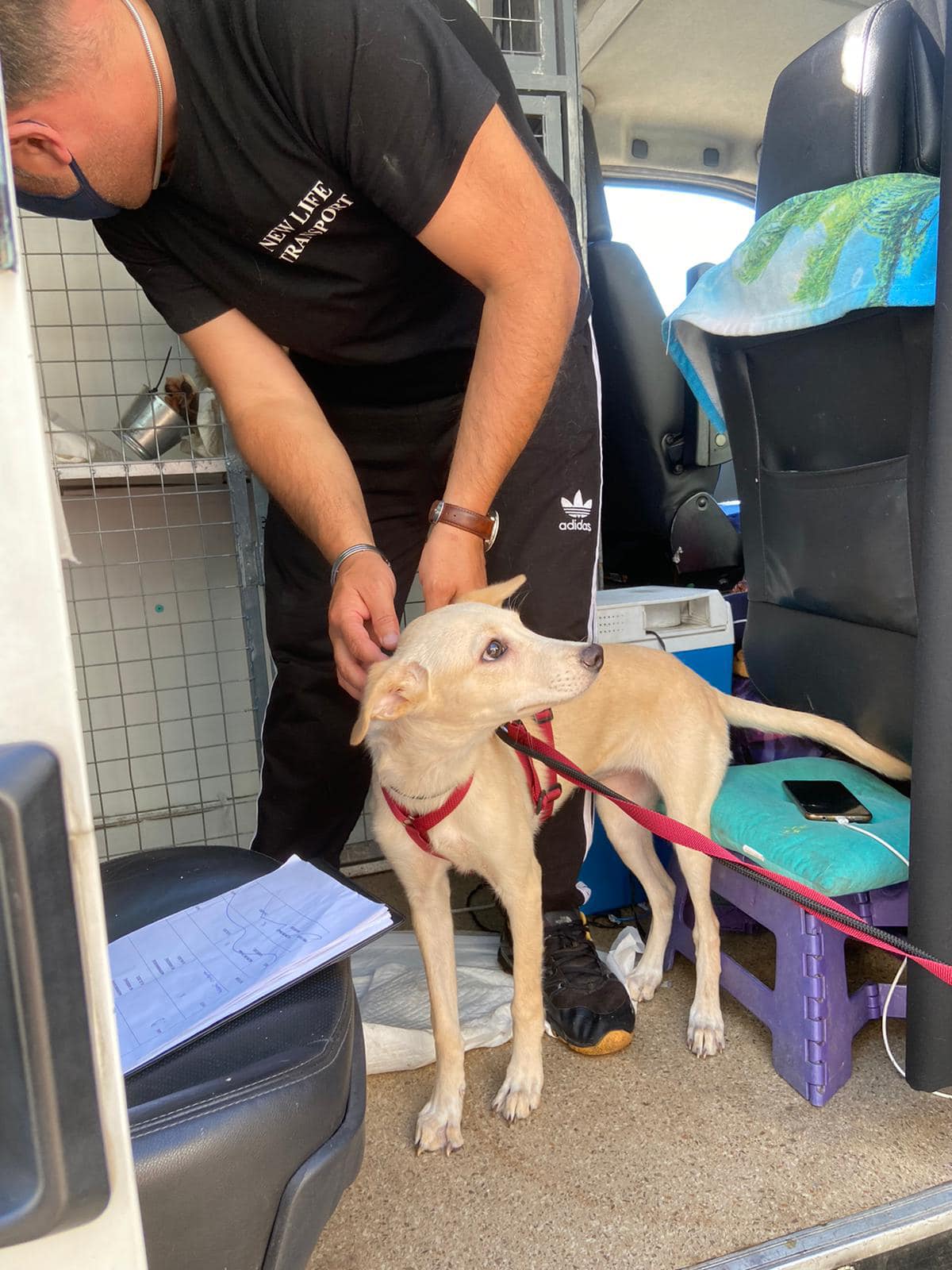 197439567 4630915736936421 6953687637673250200 n