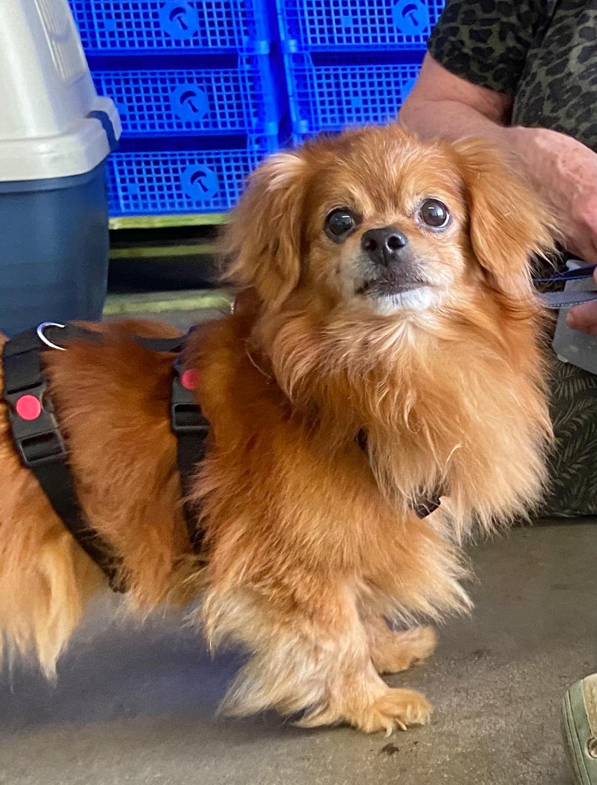 197522140 4630916846936310 425485875543101885 n