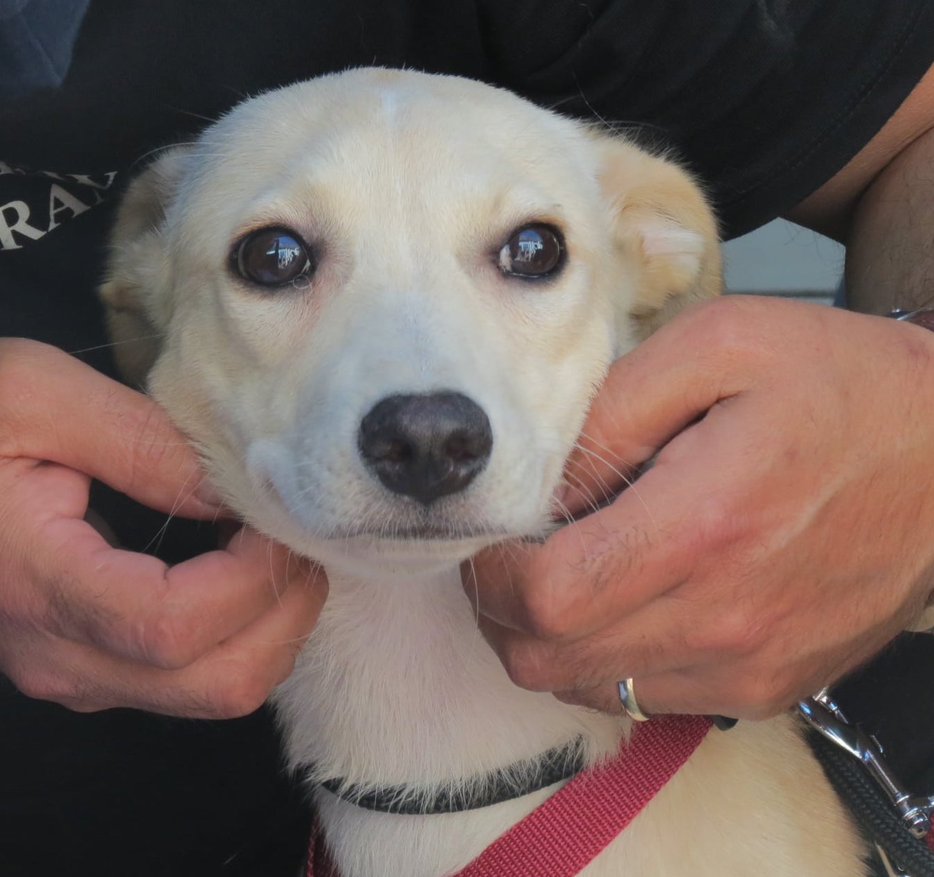 197665424 4630750816952913 2318813470657620719 n