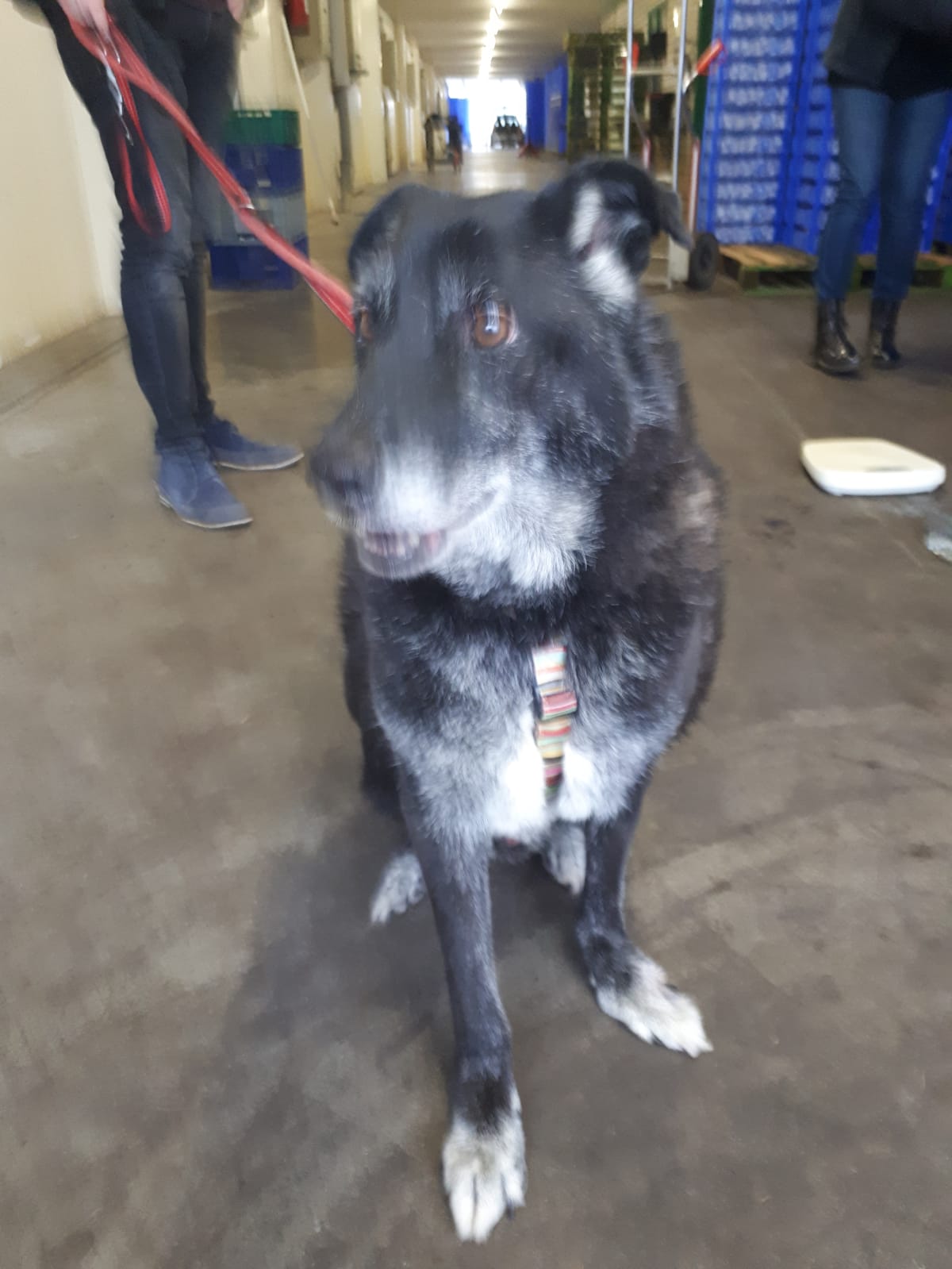 a0a1babb bc1d 4062 99b5 3be874de73ba