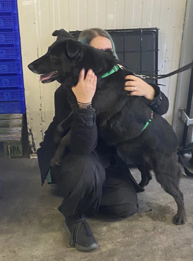 thumbnail 40a8dcd0 1218 4df7 84db 237c1adfdb61