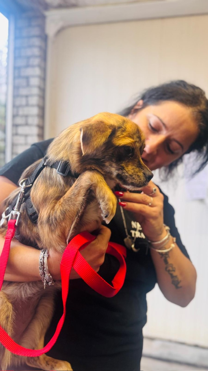 08eba277 0a3f 473f 9e06 cdc28cf2d776