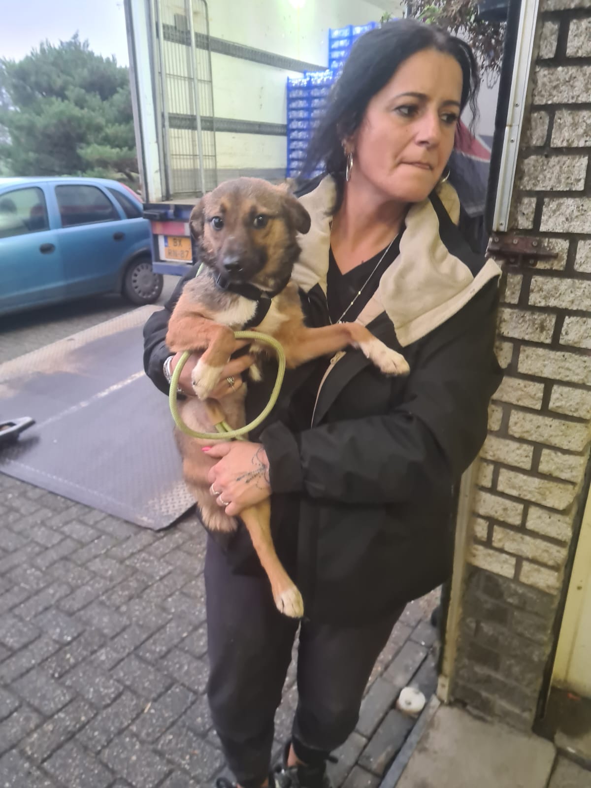 800f187f 0708 4ee0 b531 f2d4a0fc619b