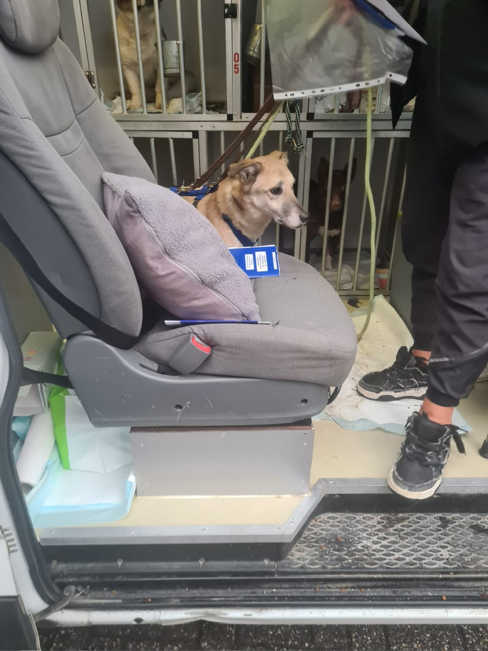 b0a43c59 e3b2 436b 849d 101f7833718c