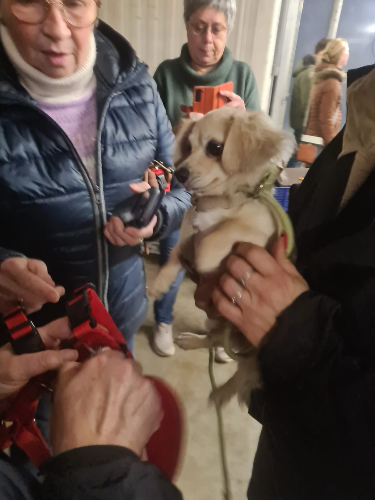 c78a92fb 6c3c 4268 b09e 8aea66f3e31f