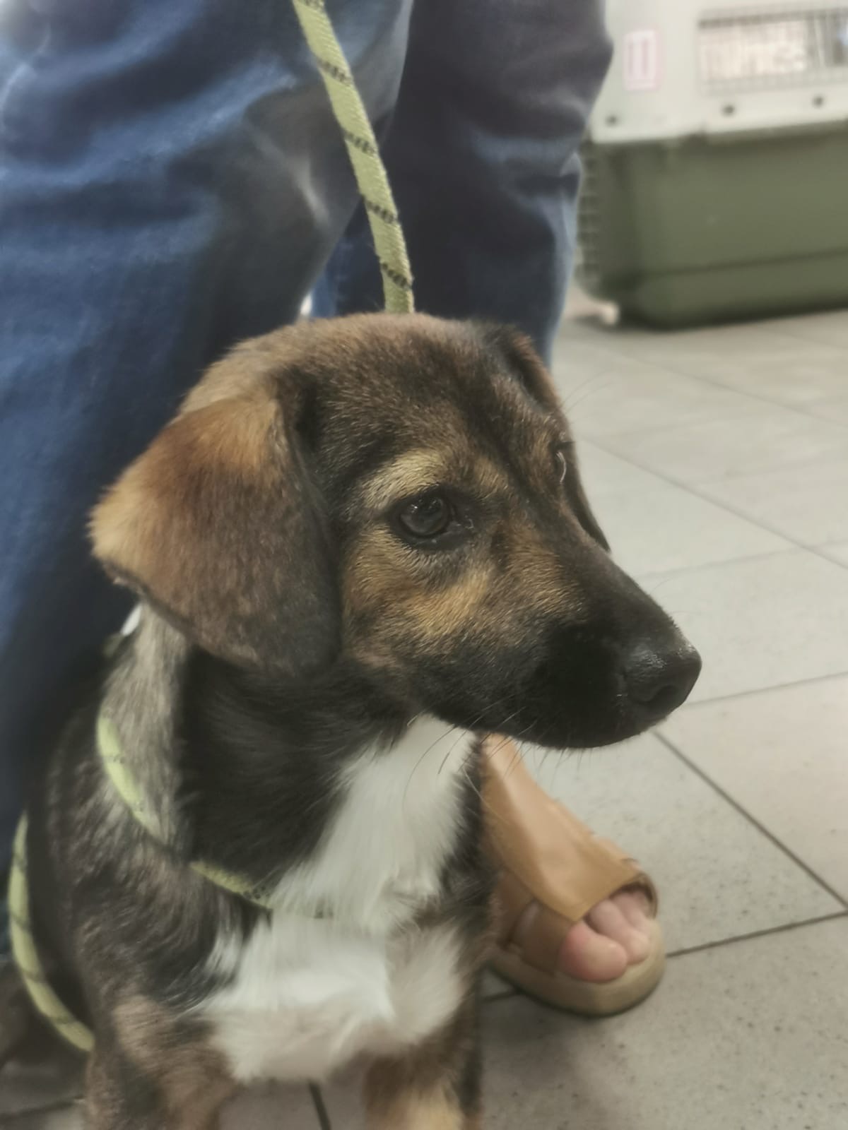 049b9238 1785 41b8 be55 87413ad20ce0