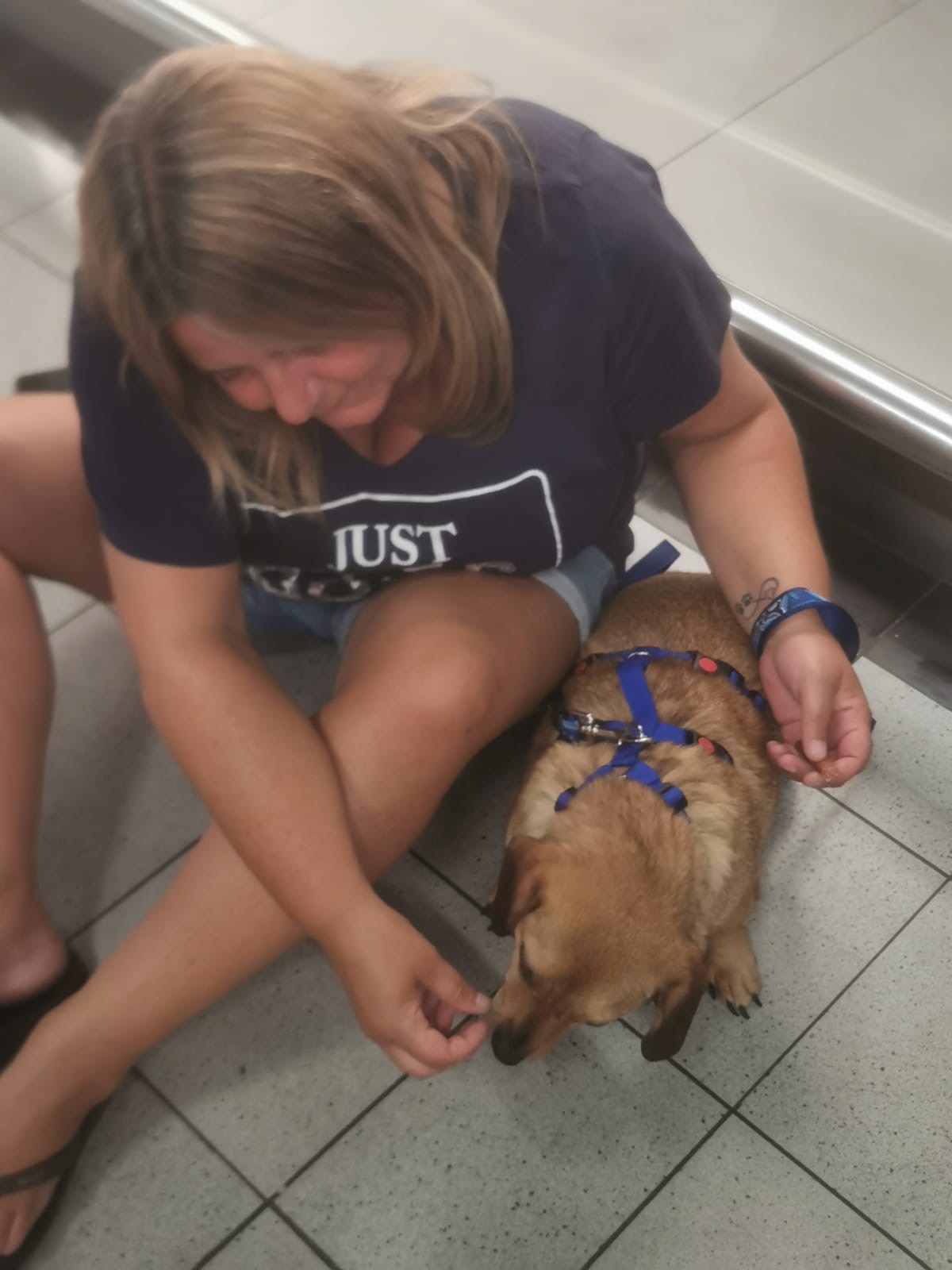 31e8a4f9 7a78 4f0f 9c62 b052b12d1454