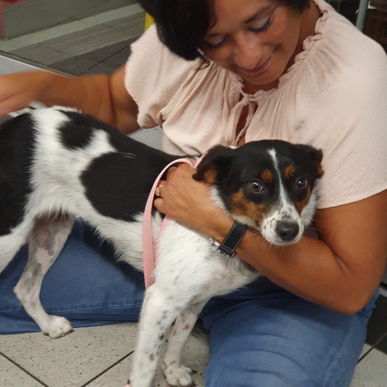 91019880 690f 4c94 a306 05b592c7ddba