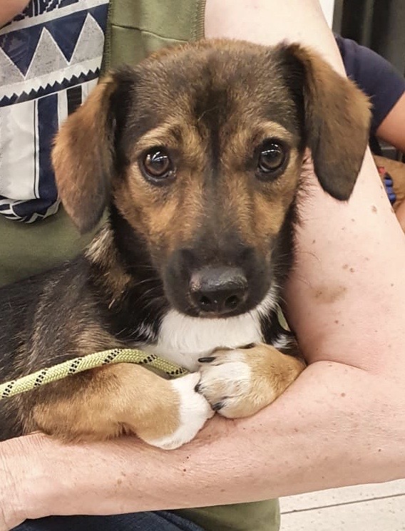 c43d3059 37d6 4fae 8924 a53bb2f8cd77