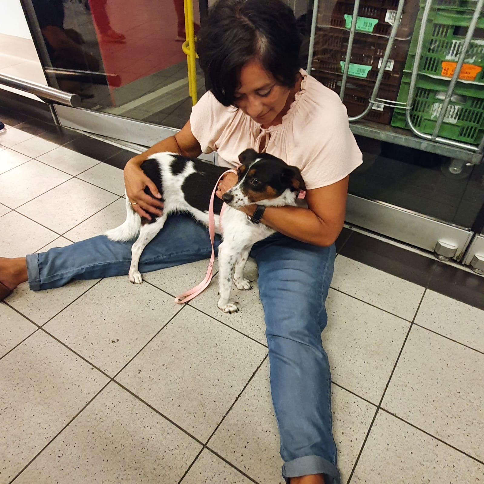 de10f4ad 21a6 419e 94d9 cb9994e16177