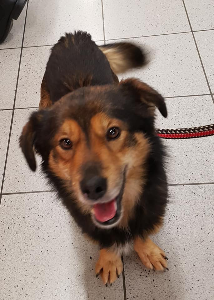 82099914 1028917110807400 4261064842800005120 n