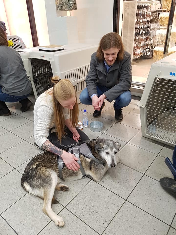 82259537 1028918800807231 4574569684149469184 n