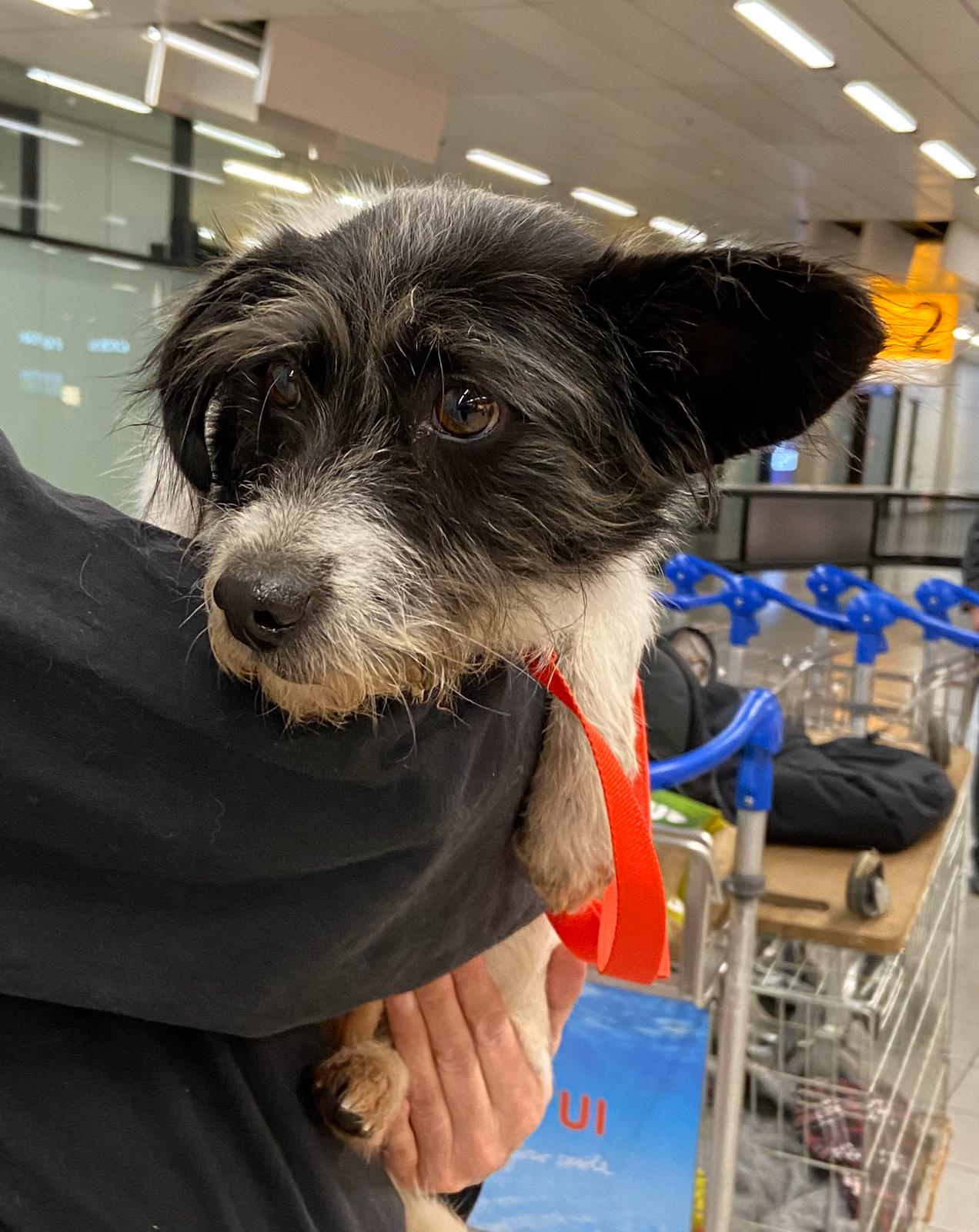 82264486 3203043613056981 7712070635639275520 o