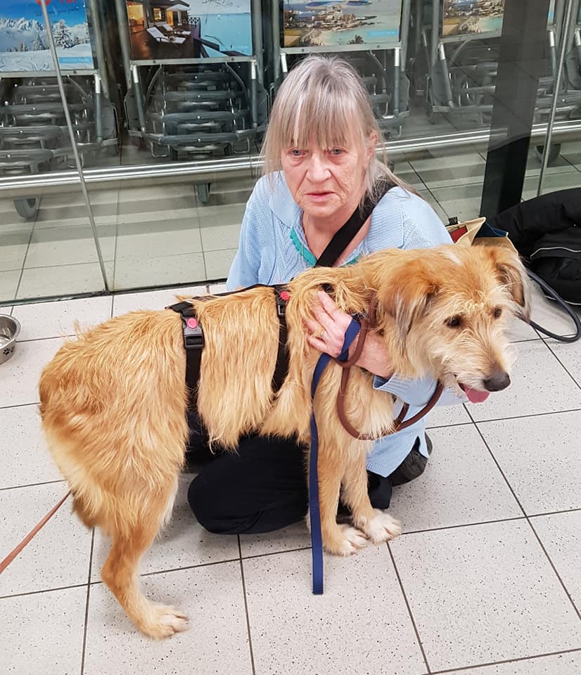 82286132 1028917667474011 7349779501292716032 n