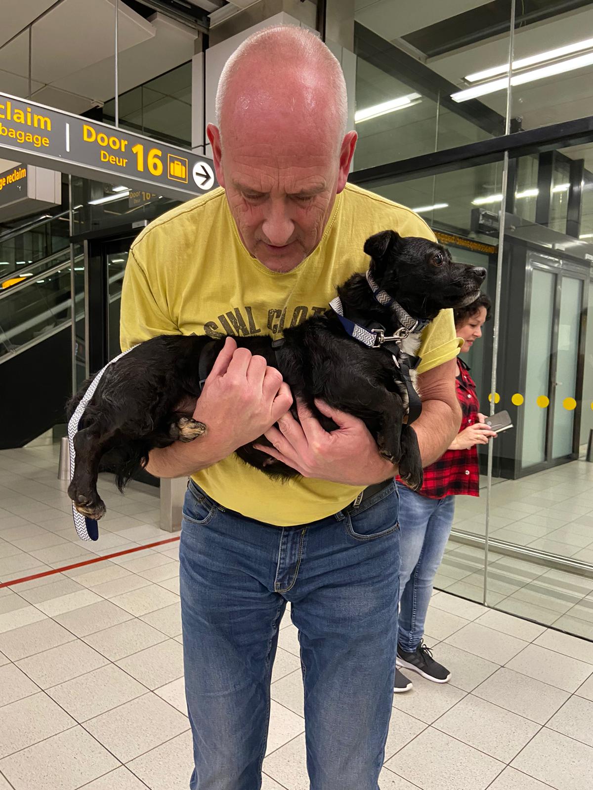 82358607 3203043663056976 4586115999350128640 o