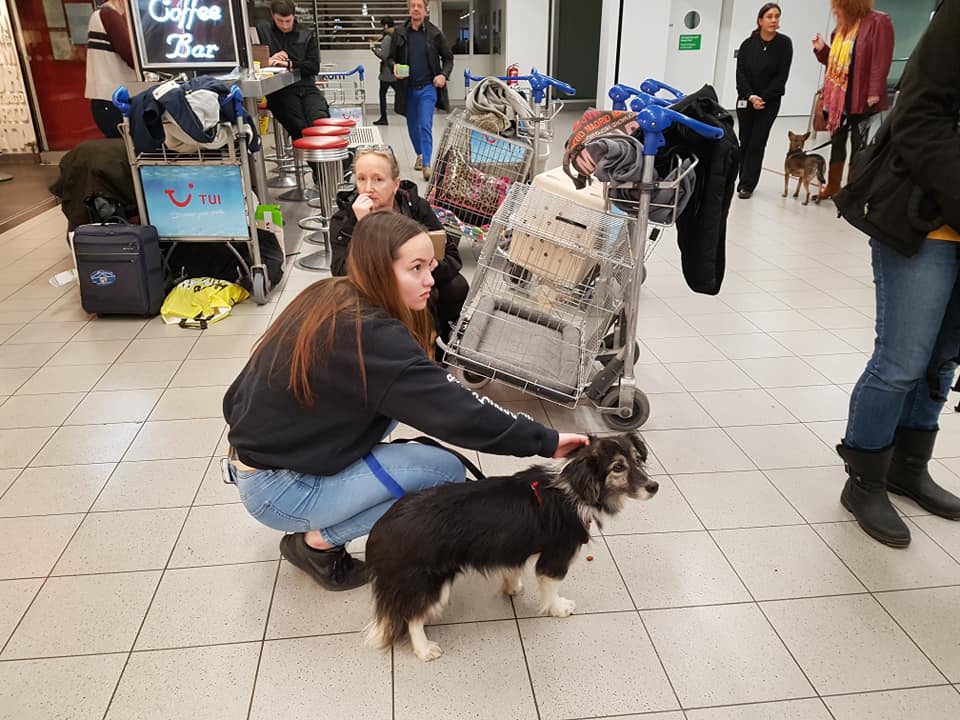 82394147 1028919154140529 5540761300809809920 n