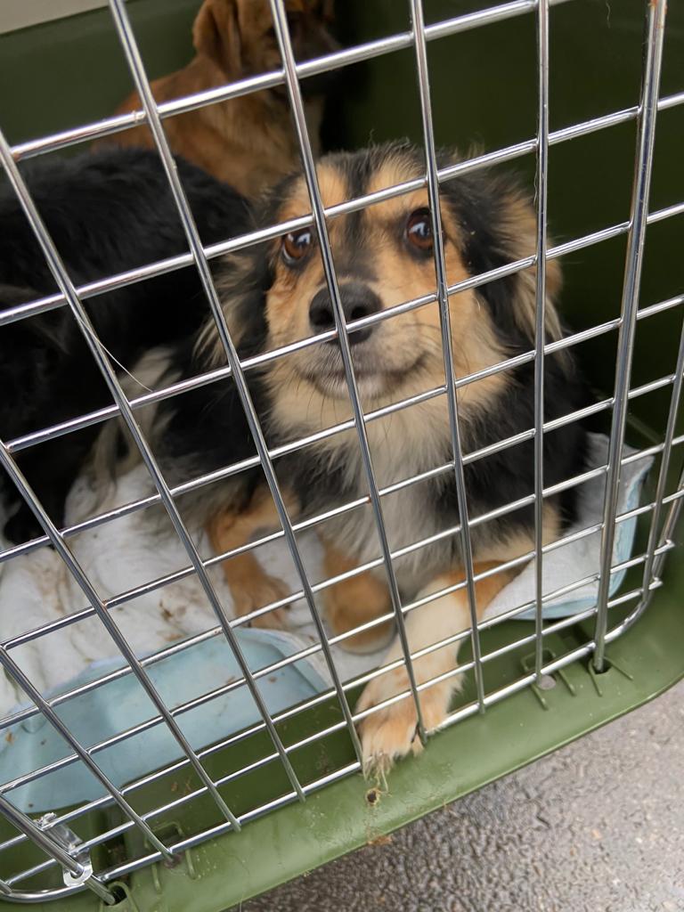 82405305 3203043439723665 5165687798329507840 o