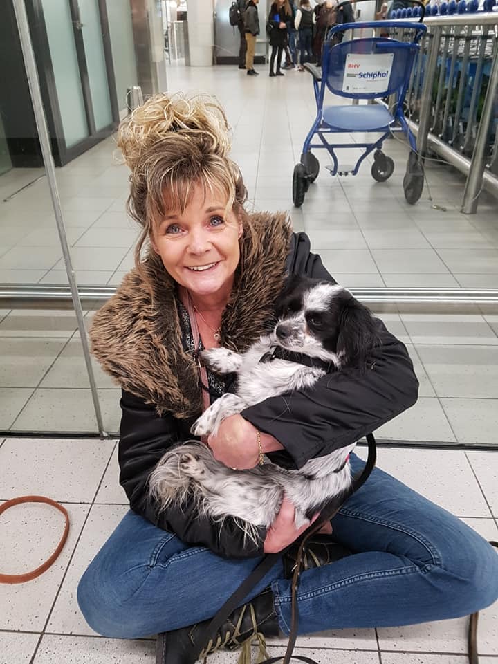 82502271 1028919584140486 6309474358469328896 n