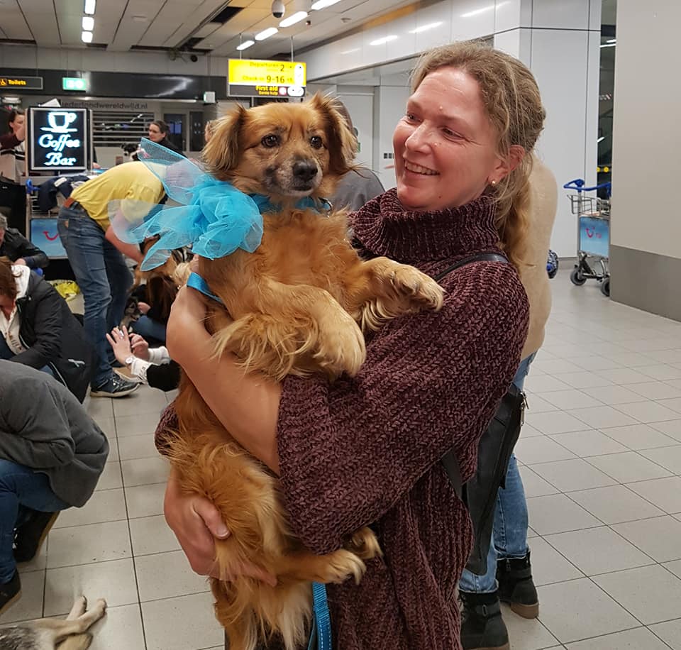 82530704 1028917527474025 8644659768205508608 n