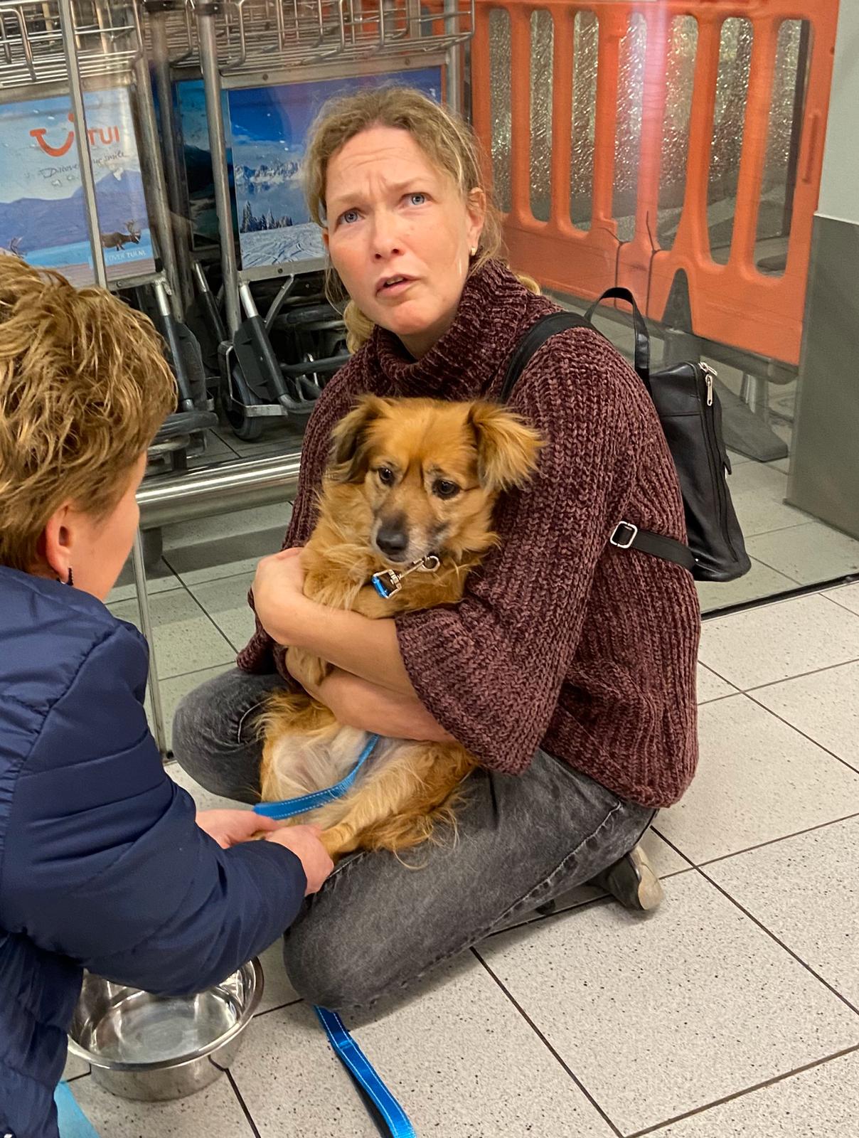 82642405 3203043819723627 5657768081242456064 o