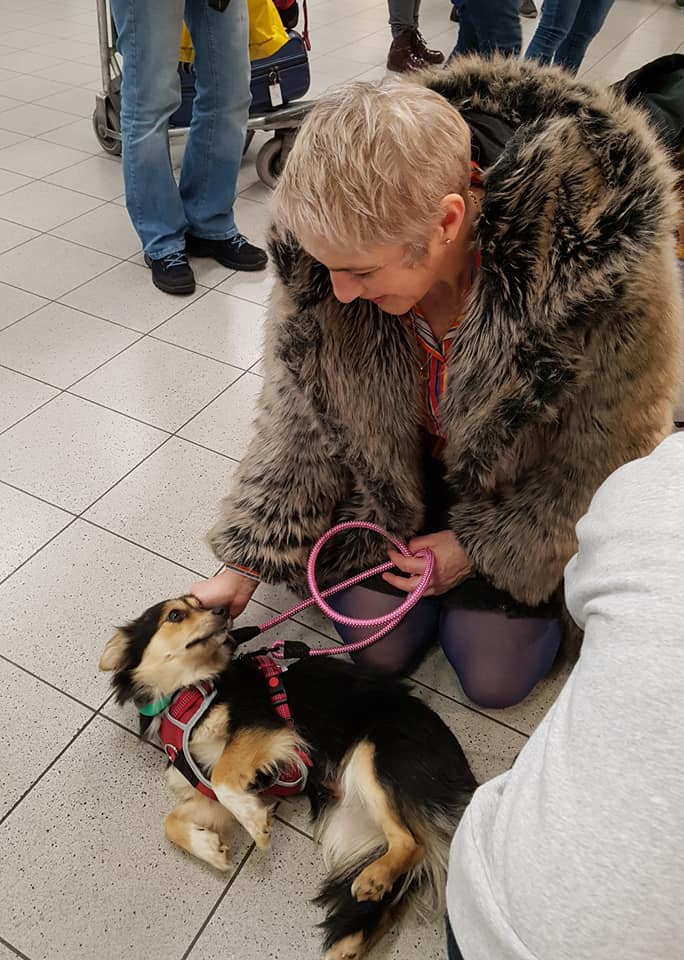 82679146 1028917334140711 431634257513807872 n